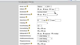 Gehaltsrechner  Anleitung für BruttoNettorechner von lohnexpertede [upl. by Esinned]