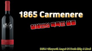 1865 까르미네르 1865 Carmenere 칠레의 유명한 품중 와인 시음 폭주자라이더 124편 [upl. by Anelegna]