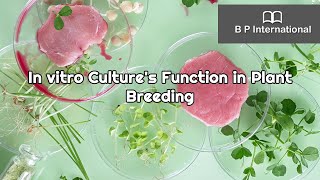 In vitro Cultures Function in Plant Breeding [upl. by Balf]