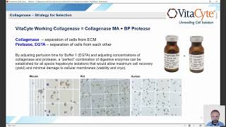 Webinar Collagenase Selection amp Process Optimization for High Yield Hepatocyte Isolation [upl. by Norrej]