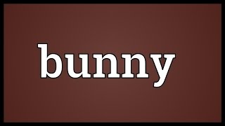 Bunny Meaning [upl. by Anuqahs]