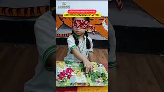 MONTESSORI SENSORIAL ACTIVITY LEAF🍀 amp PETAL🌸 montessori sensoryplay school kids [upl. by Ariahs]