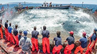 Everyone should watch this Fishermens video  Big Catch Hundreds Tons Fish With Modern Big Boat [upl. by Nnaycnan78]