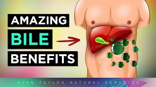 11 Amazing Benefits of Bile Salts [upl. by Saihttam]