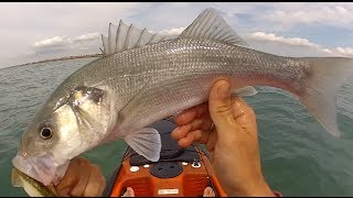 Pêche du Bar en Kayak aux leurres Septembre 2013 en Normandie HD 1080P [upl. by Eceer]