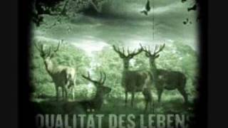 Laibach Tanz mit Laibach [upl. by Spitzer]