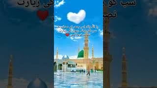 اس جمعہ کے صدقے روضہ رسول کی زیارت ❤️ foryou viralshorts viralvideo [upl. by Assyli]