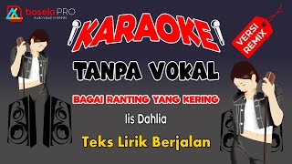 Karaoke Bagai Ranting Yang Kering  Iis Dahlia Remix Slow Karaoke Tanpa Vokal [upl. by Seldun]