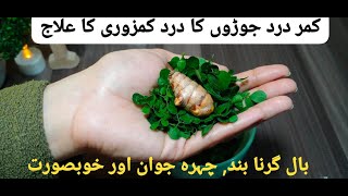 Best Immunity Booster Recipe Quick n Easy Cure For Back Pain Joints Pain Remedy for New mom [upl. by Gavan]