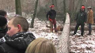 Projekt GRÜNES Klassenzimmer Mitten im WINTER bei Holzfällers im Forst [upl. by Llehsem]