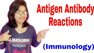 Antigen Antibody Reactions [upl. by Niroc]