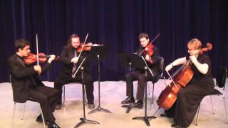 St Louis String Quartet  Classical Wedding Ceremony Music  The Matt McCallie Orchestra [upl. by Anirroc]