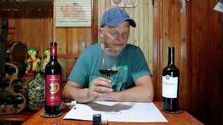 Сравниваю мерло Крым quotAlma Valleyquot 2021г и Чили Viu ManentquotEstate Collectionquot Reserva Merlot 2018 [upl. by Efthim801]