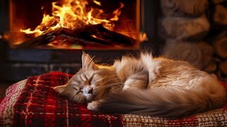 Calming Winter Bliss  Deep Sleep ASMR amp Snowstorm Sleep Ambience for Stress Reduction [upl. by Kristien]