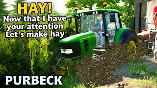 HAY LETS DO TWO FIELDS  Purbeck  FARMING SIMULATOR 22  Episode 19 [upl. by Bilek]