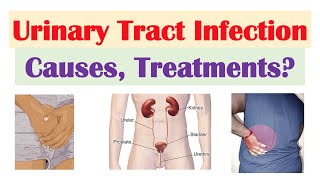 Urinary Tract Infections UTI Overview  Causes Risk Factors Symptoms Diagnosis Treatment [upl. by Lonier999]