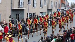 carnavalstoet Gullegem 11 02 2024 Koninklijke steltenlopers Merchtem [upl. by Keligot]