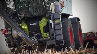 Gülle grubbern 2016 mit Claas Xerion 4000 Saddle Trac und SGT Aufbau [upl. by Rissa391]