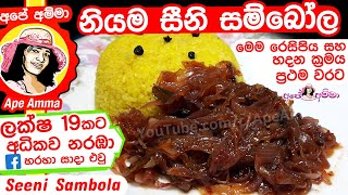 ✔ නියම ක්‍රමයට සීනි සම්බෝල Seeni Sambol recipe by Apé Amma [upl. by Fasano]