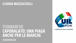 Il caporalato una piaga anche per le Marche [upl. by Cohbath]