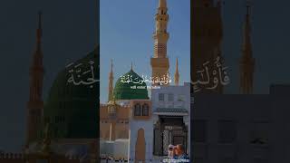 Heart Melting Recitation Quran ReciteQuran fyp reels tilawat tilawatequran relaxing madina [upl. by Crescen]