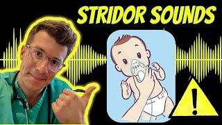 Doctor explains Stridor with real examples of sounds plus causes treatment and warning signs [upl. by Jenda990]