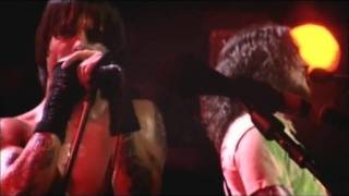 Red Hot Chili Peppers  Universally Speaking  Live at Olympia Paris [upl. by Roswell842]