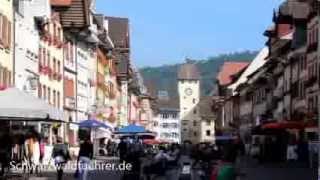 Waldshut am Hochrhein [upl. by Dagley202]