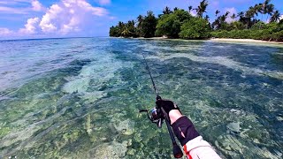 Flats Fishing Tropical Beach In The Maldives [upl. by Lodge]