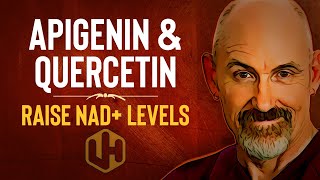 RAISE NAD WITH APIGENIN amp QUERCETIN Reduce CD38 To Boost NAD Levels 2021 [upl. by Alarice325]