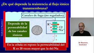 Principio fisiológico de capacitancia ¿qué establece y para qué se usa [upl. by Sussi]