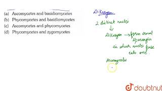 Dikaryon formation is characteristic of [upl. by Ulick]