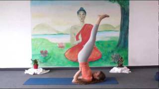 Beginners Yoga Class 20 Minutes [upl. by Tehr]