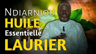 Bienfaits Huile Essentielle Laurier  Pr Ousmane Ndiaye  LansarrTV [upl. by Avika]