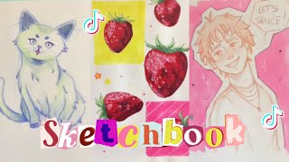 Ideas to fill your sketchbook  Art tiktok sketchbook tour  tiktok compilation [upl. by Naesed]