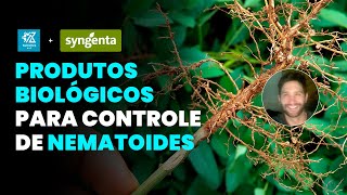 COMO CONTROLAR NEMATOIDES COM BIOINSUMOS [upl. by Eelahc]