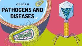 Pathogens and Disease management [upl. by Salchunas642]