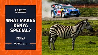 What Makes Kenya So Special 🦓  WRC Safari Rally Kenya 2024 [upl. by Ellimak]