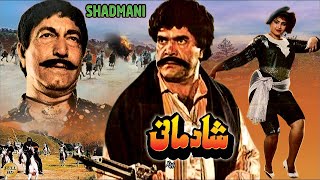 SHADMANI 1990  SULTAN RAHI ANJUMAN MUSTAFA QURESHI amp RANGEELA  FULL MOVIE [upl. by Odlopoel]