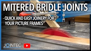 Mitered Bridle Joints on Your Table Saw With One Jig [upl. by Ahsekyt382]