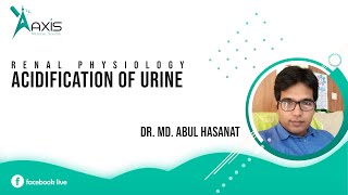 Physiology  Renal System  Acidification of Urine [upl. by Ainadi]