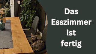 Wie gefällt dieser Katze das umgestaltete Esszimmer [upl. by Macmillan]