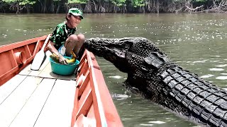 Most Emotional Animal Reunions With Owners After Years [upl. by Annitsirhc832]