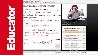 Peptide Synthesis Merrifield Process  Biochemistry Tutorial [upl. by Seafowl]