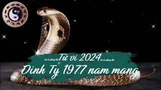 Tử vi tuổi Đinh Tỵ 1977 nam mạng năm 2024 [upl. by Eirrok221]