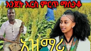 Ethiopia ምርጥ የትዝታ አዝማሪ ማሲንቆ  Best Ethiopian Traditional Azmari Masinko 674 [upl. by Schilit]