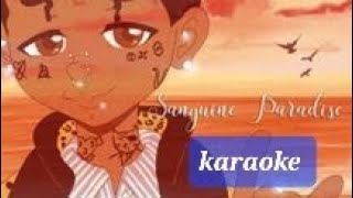 sanguine paradise Karaoke Lil Uzi [upl. by Rawdin]