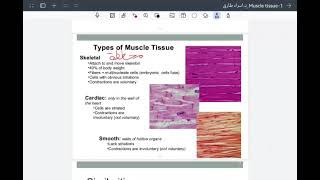 cytology lec1part 1 [upl. by Einnig]