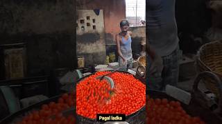 rasgulla Kaise banta hai shortvideo making farming harvest [upl. by Dempstor]