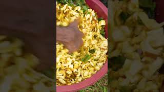 Delicious Jackfruit Mallum Cookingjackfruit jackfruitcutting village traditionalcooking short [upl. by Eigroeg]